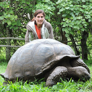 Meet your Posher, Edye